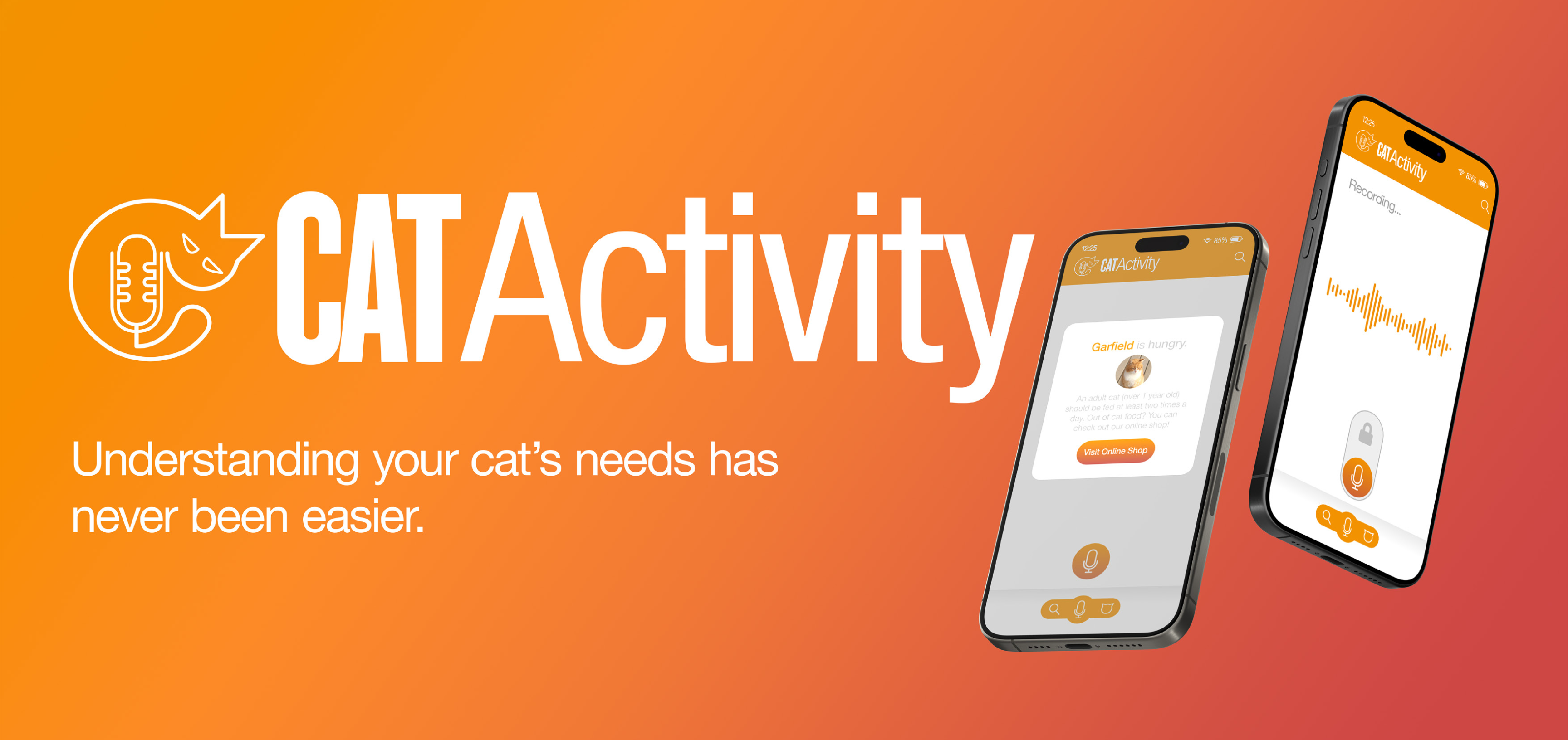 Cat Activity