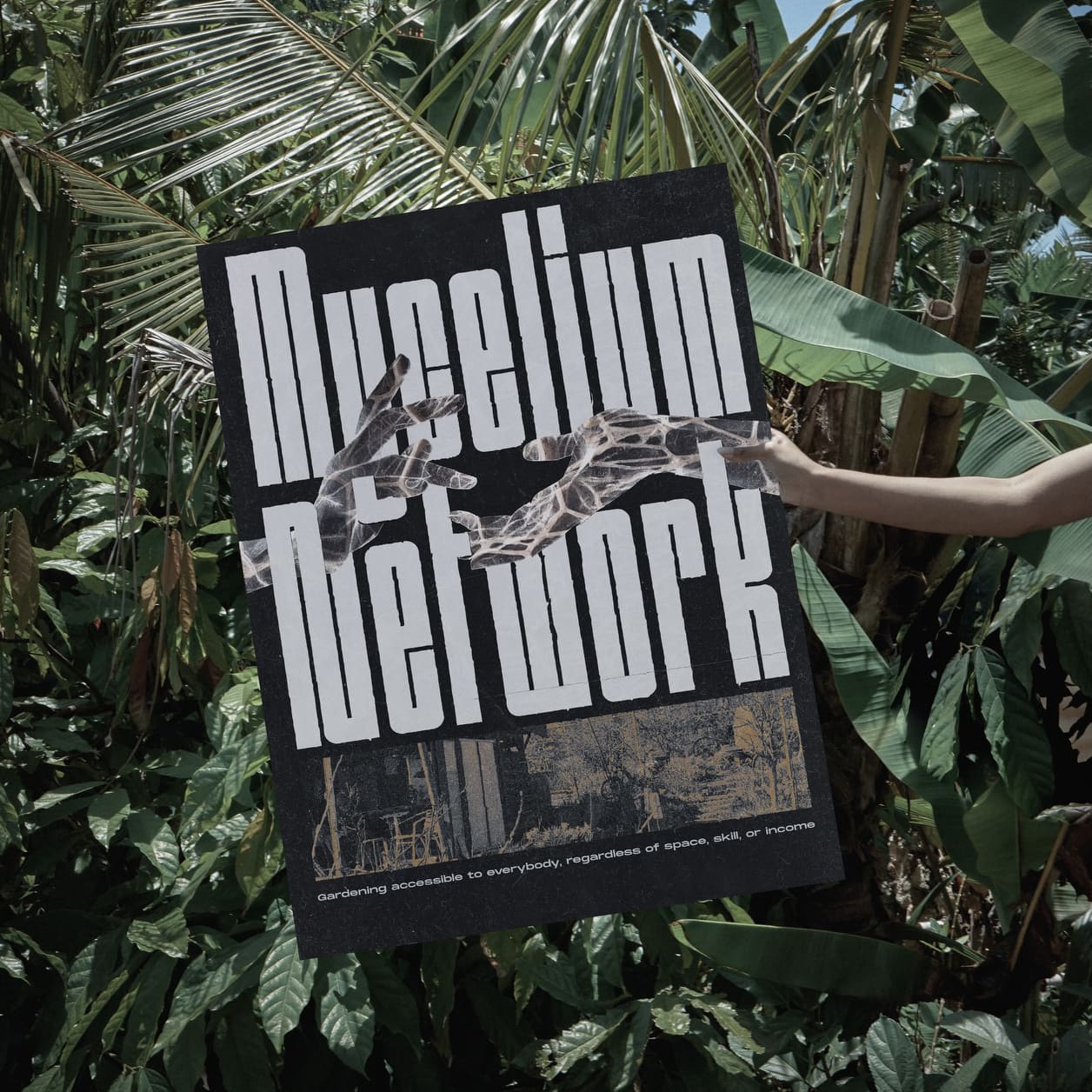 Mycelium Network poster