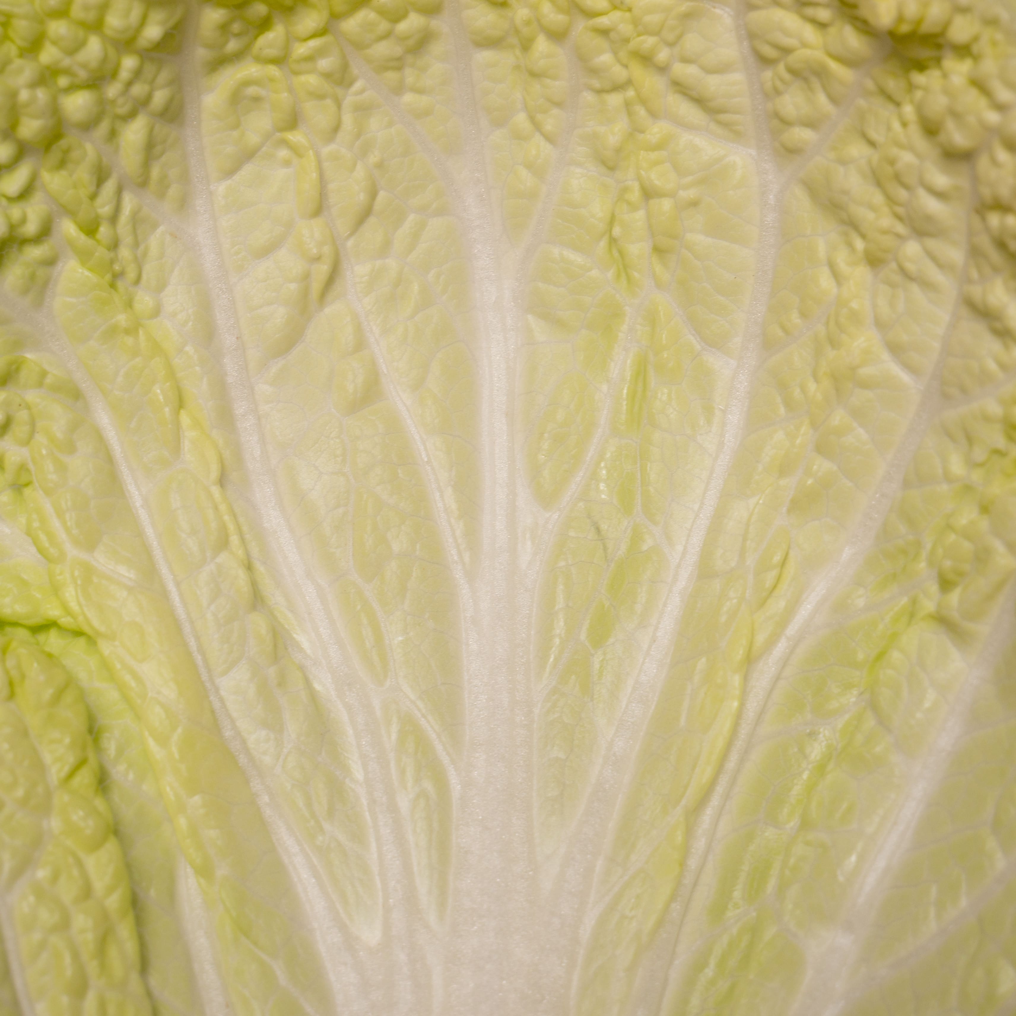 Vegetables
