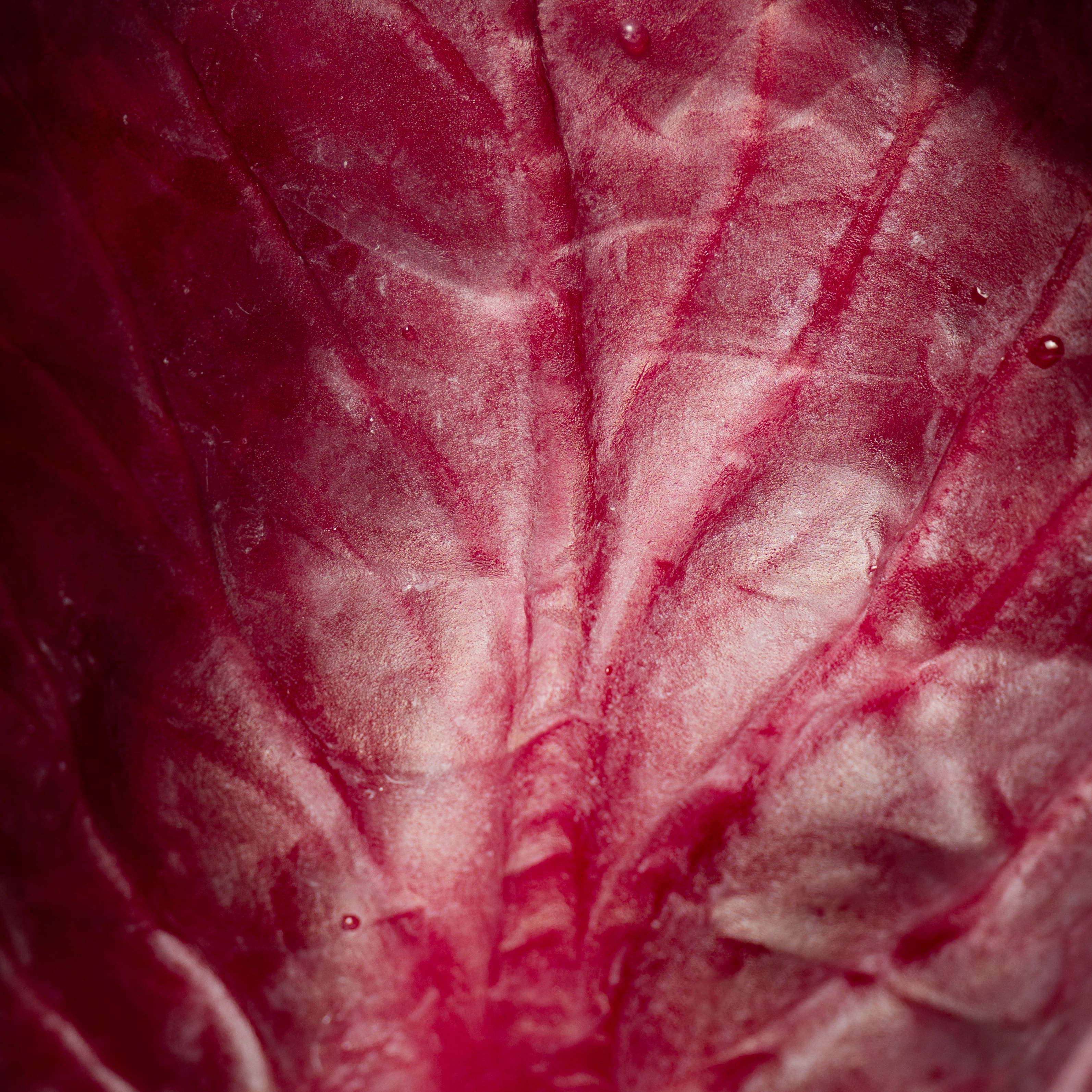 Vegetables