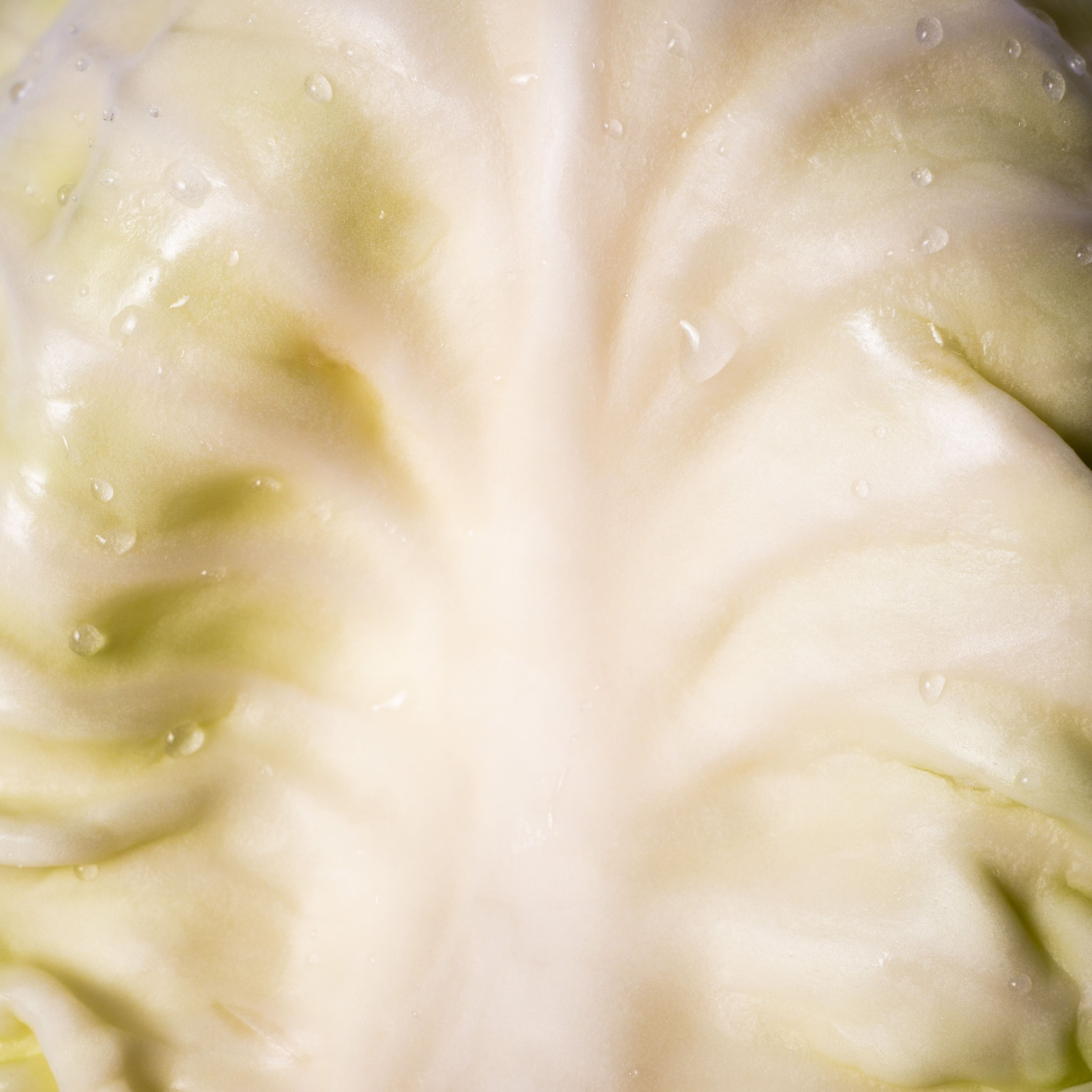 Vegetables