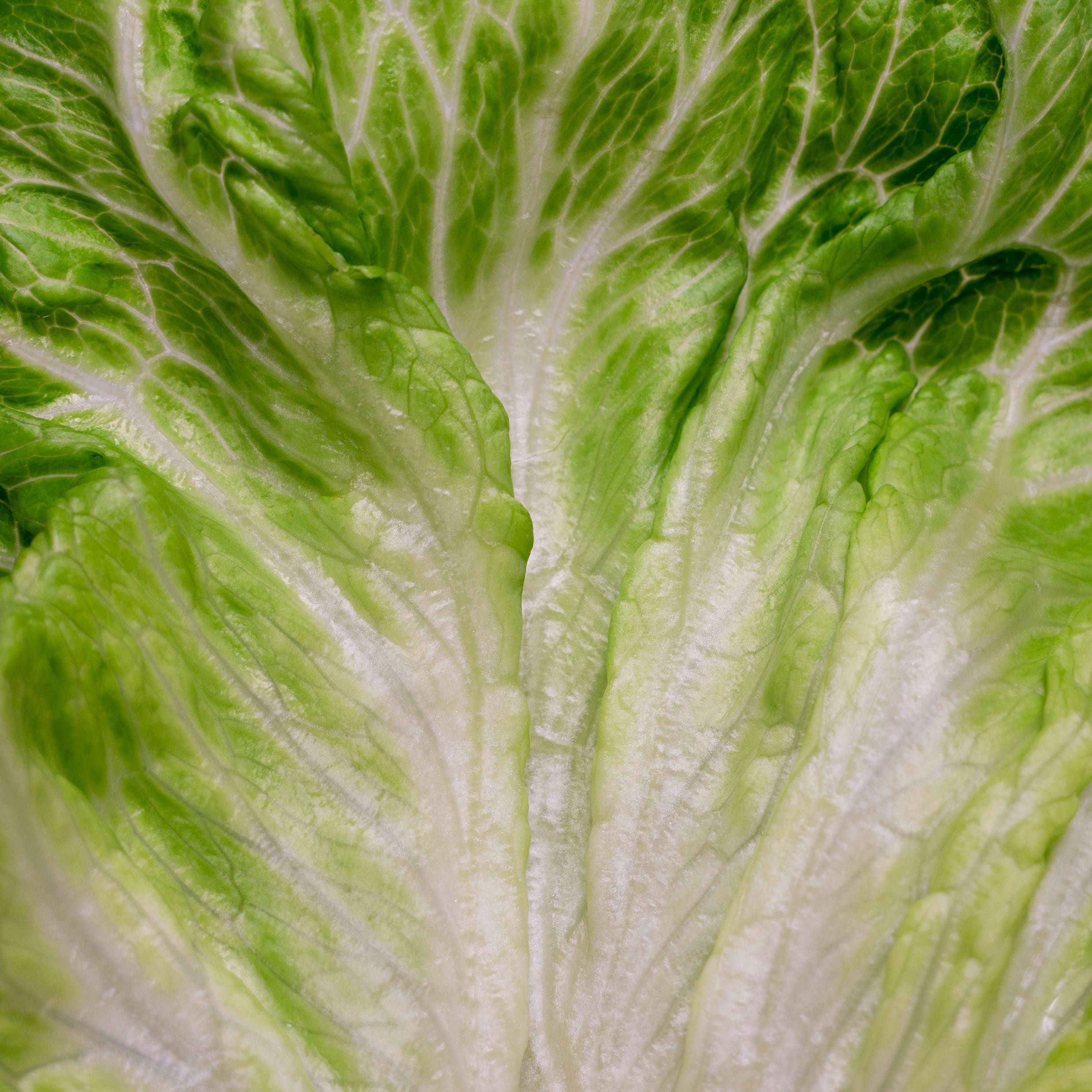 Vegetables